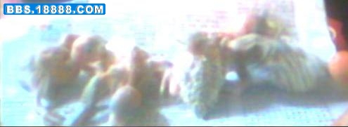 图片 042.jpg