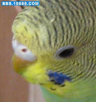 IMG_0437.jpg