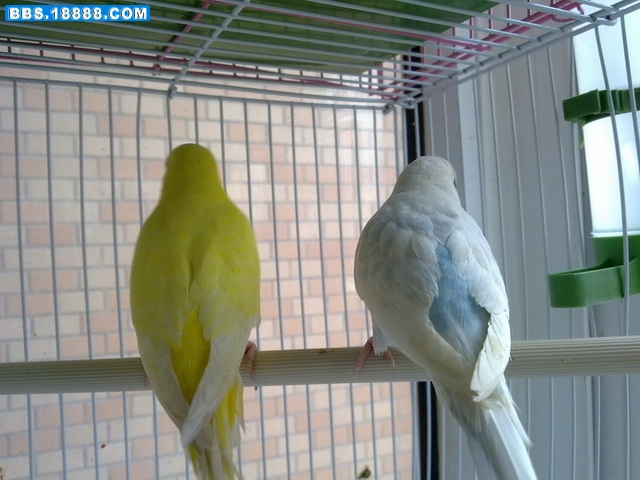 20100405150_调整大小.jpg