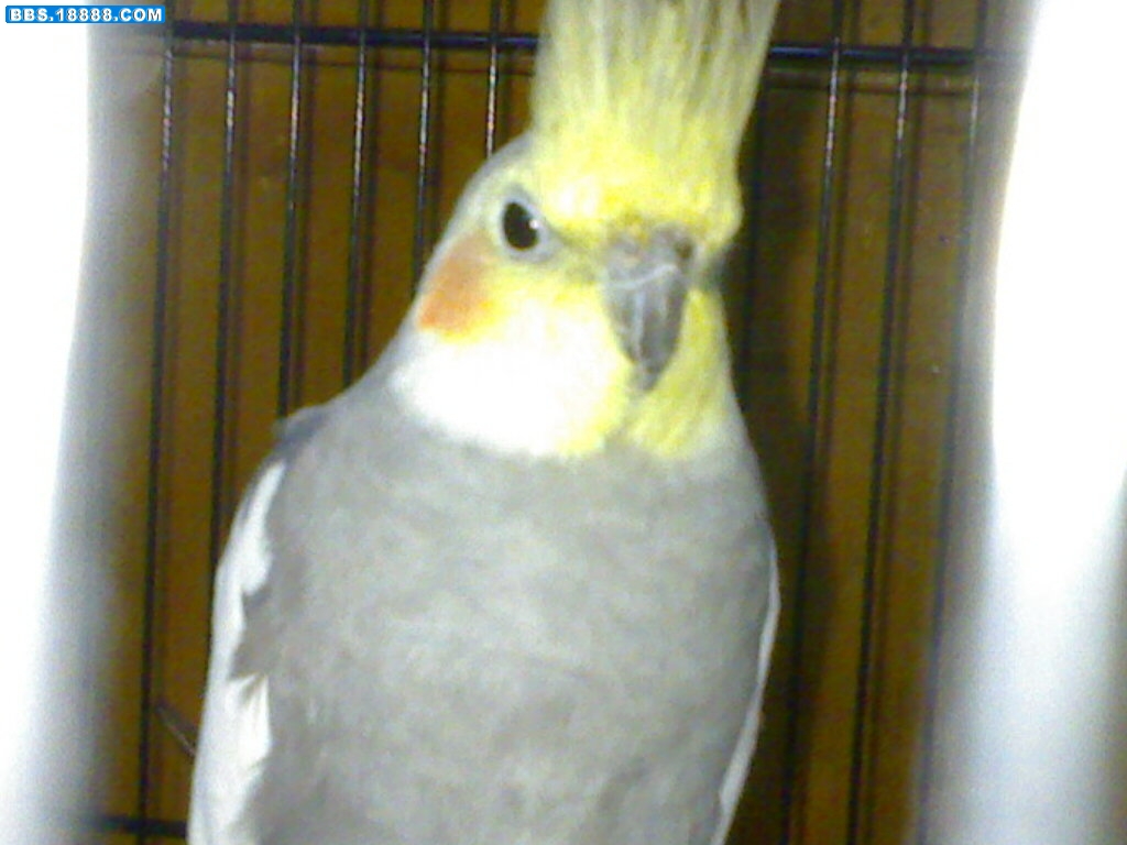20100423108.jpg