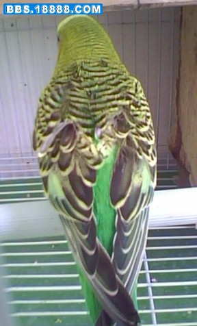 未命名.jpg