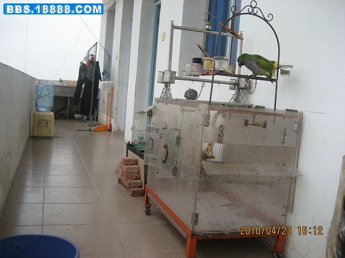 IMG_3458(001).jpg