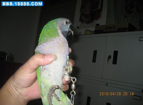 IMG_3475(001).jpg