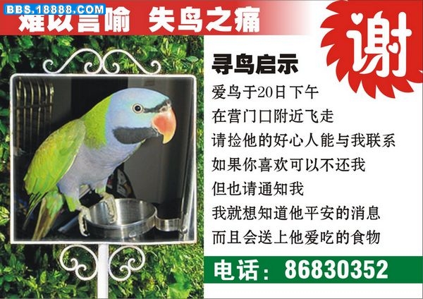 寻丢宝.jpg