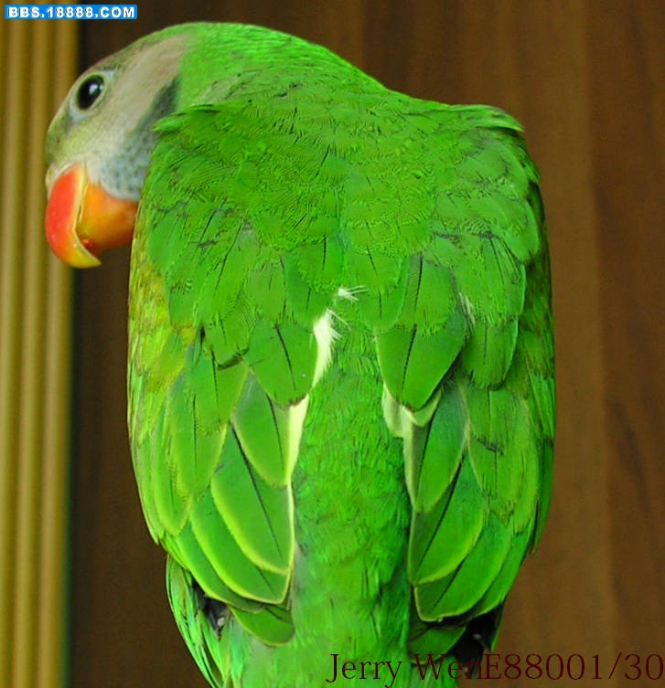 DSCN2229.JPG