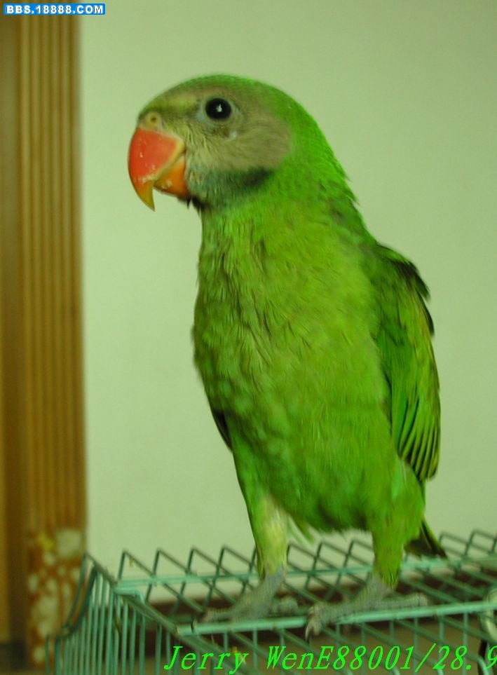 DSCN2181.JPG