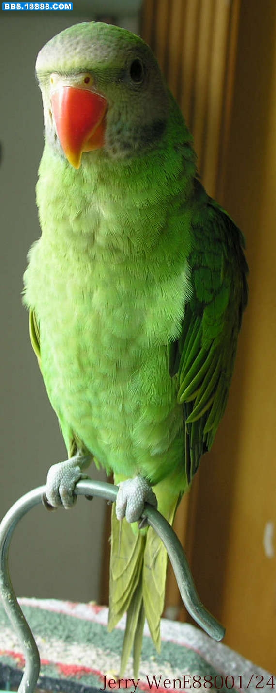 DSCN2207.JPG