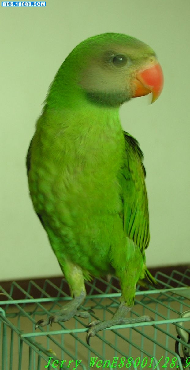 DSCN2182.JPG