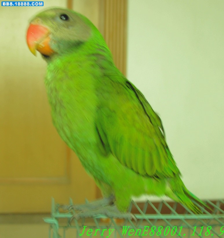 DSCN2191.JPG