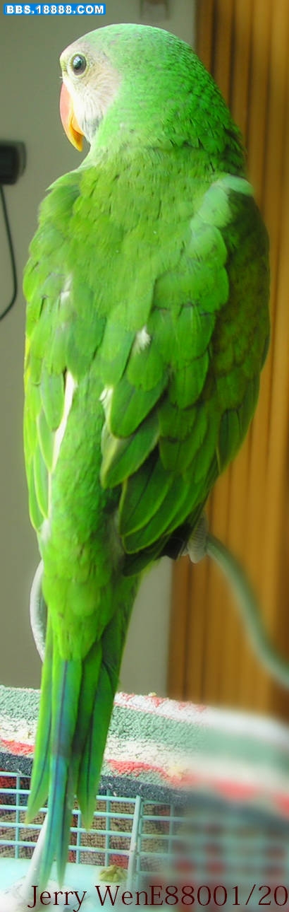 DSCN2219.JPG