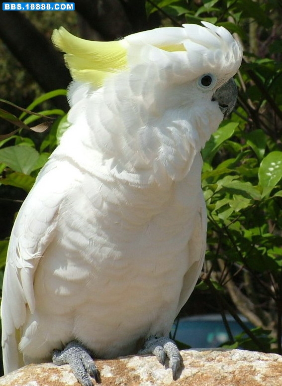 DSCF3562.JPG