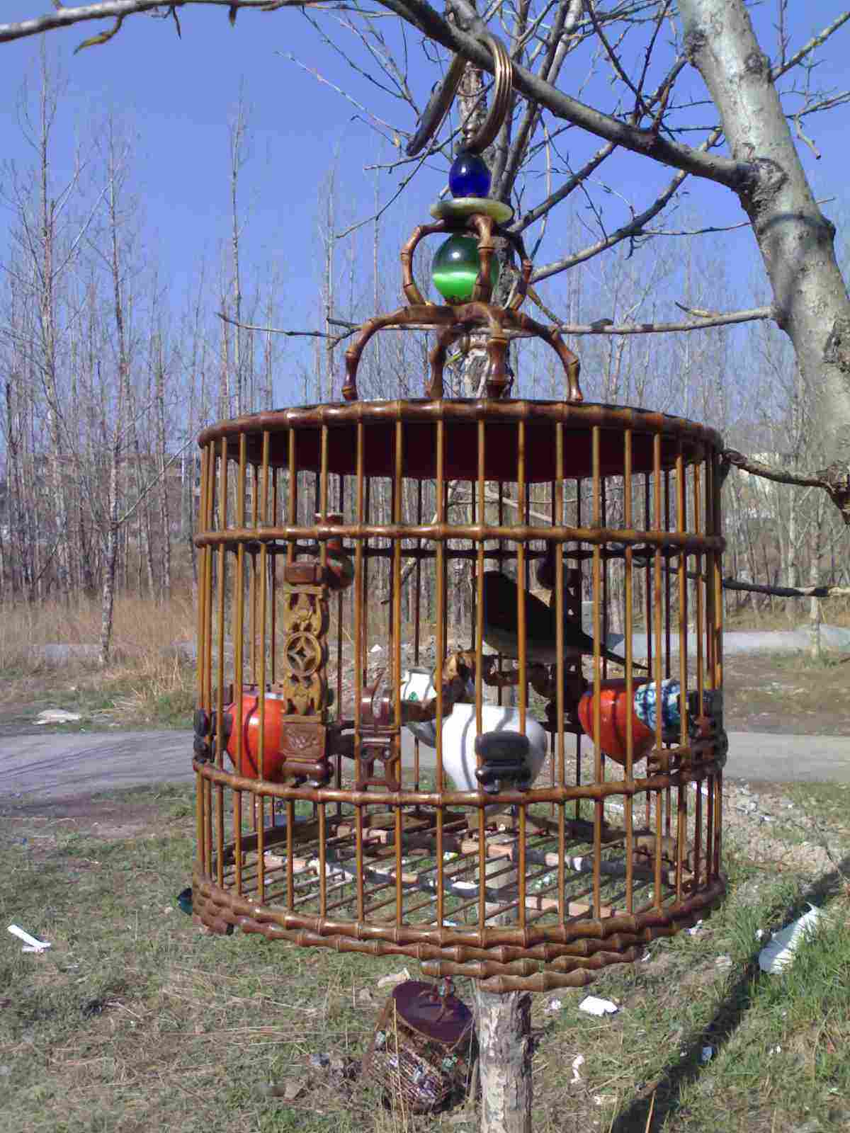 201004231229113106.jpg