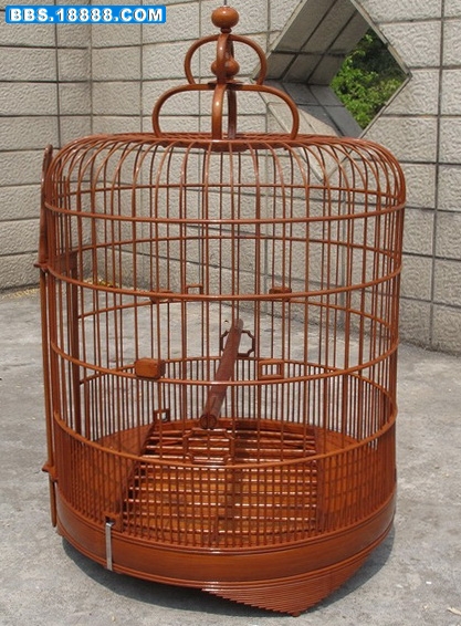 6 021_调整大小.jpg
