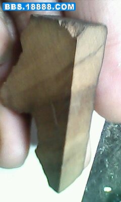 IMG0011A.jpg