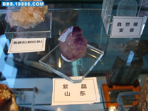 DSC01288.jpg