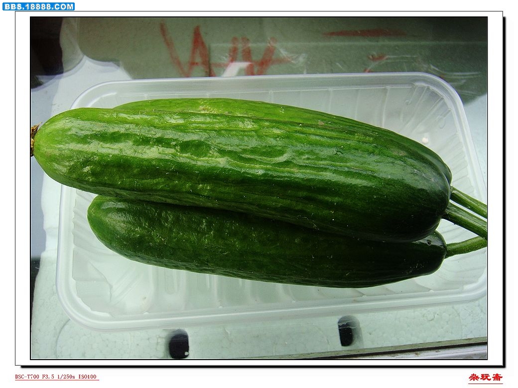 3黄瓜.jpg