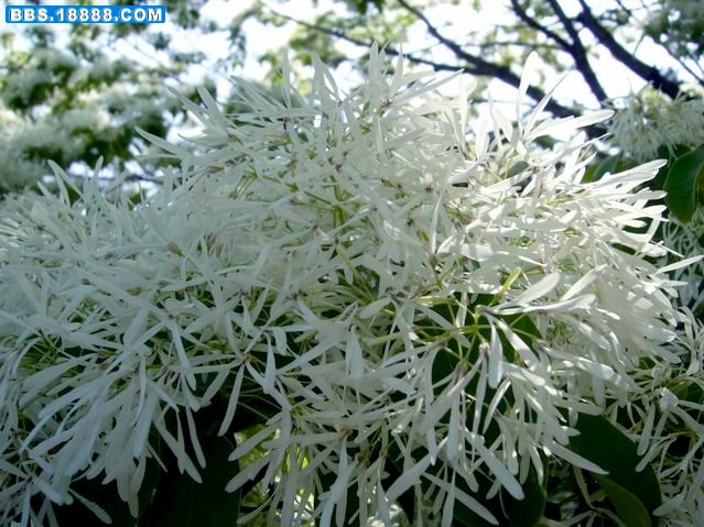 调整大小 照片 5.1-1.jpg