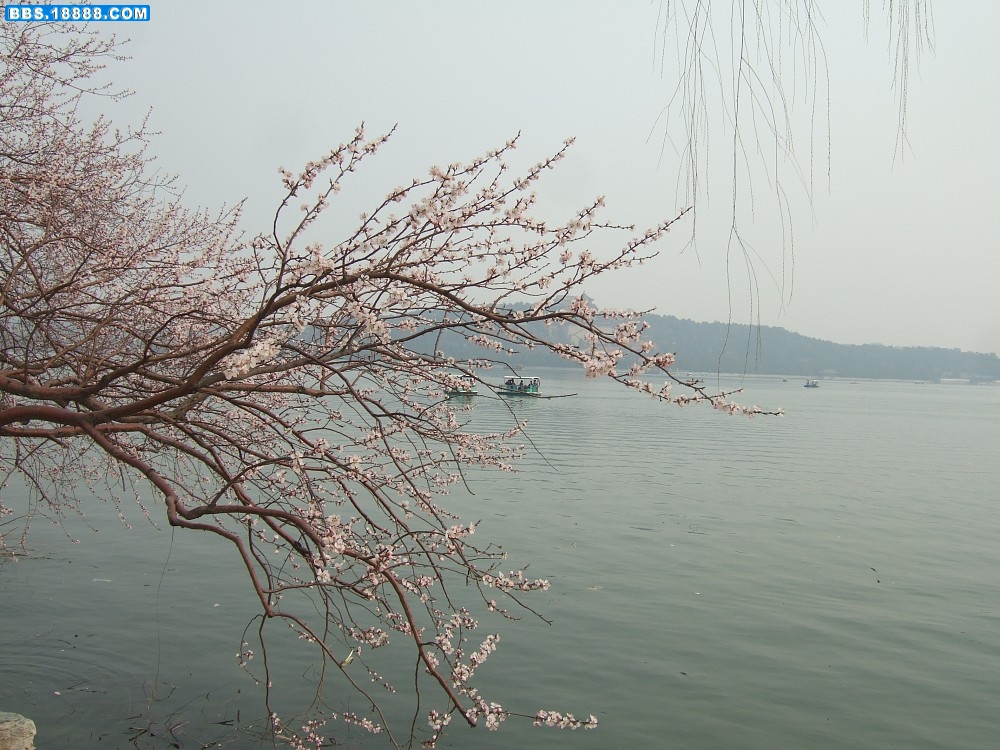 远处的万寿山 (2).jpg