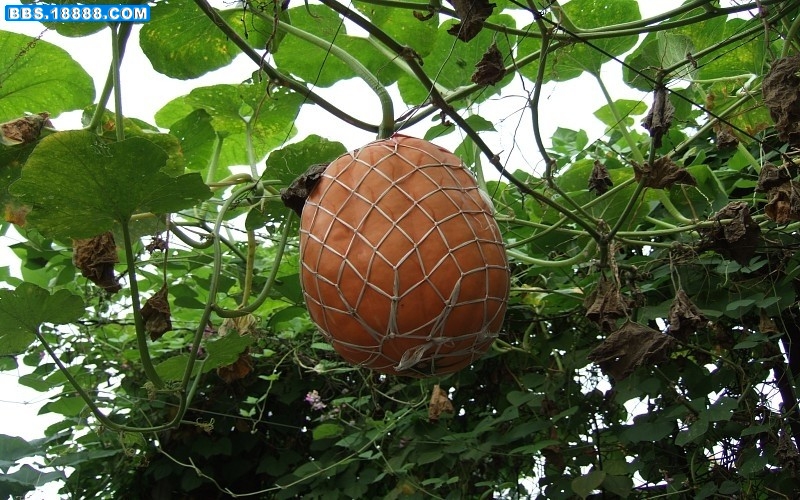 images003.jpg
