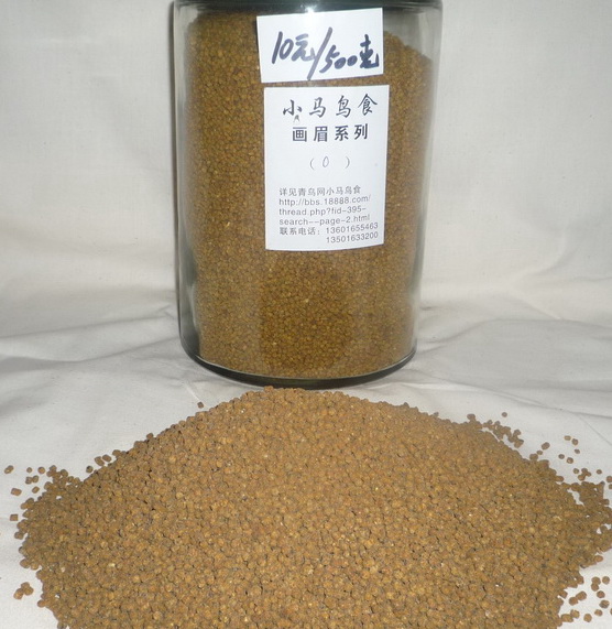 P6.jpg