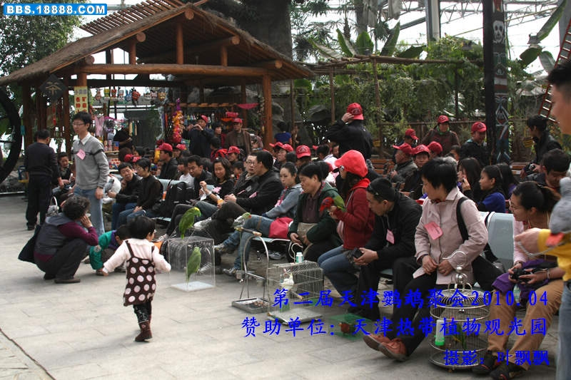 nEO_IMG_我来检阅1868.jpg