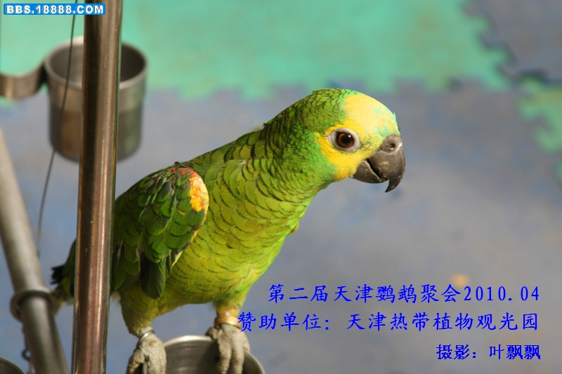 nEO_IMG_小可爱2002.jpg