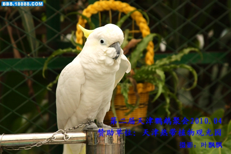 nEO_IMG_1548.jpg