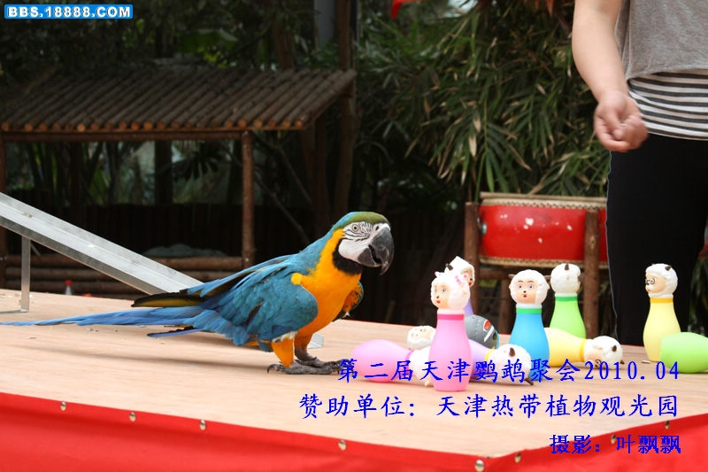 nEO_IMG_打保龄球1755.jpg