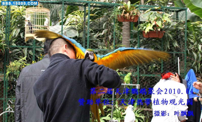 nEO_IMG_给你一个拥抱2046.jpg