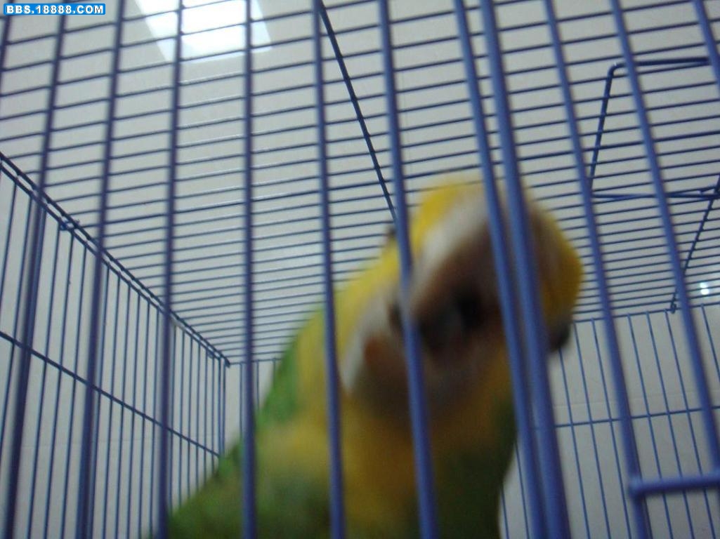 DSC04917.JPG