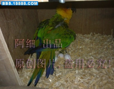 未命名4.jpg