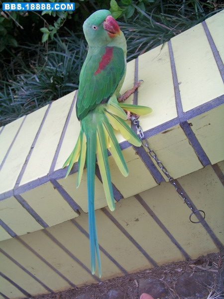 100_3673.jpg