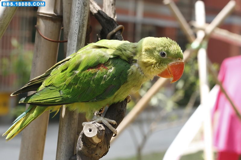 20100423_0494_调整大小.JPG