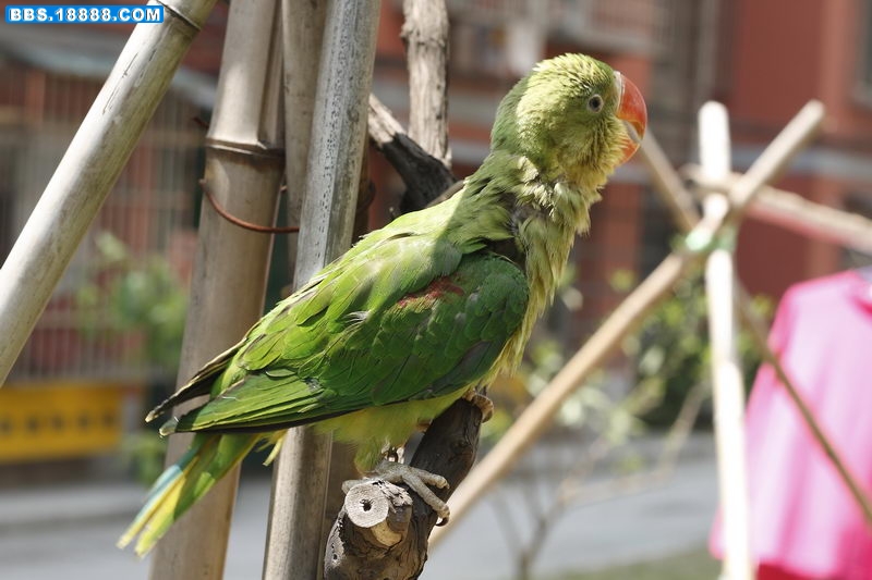 20100423_0495_调整大小.JPG