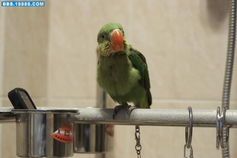 20100411_0477_调整大小.JPG