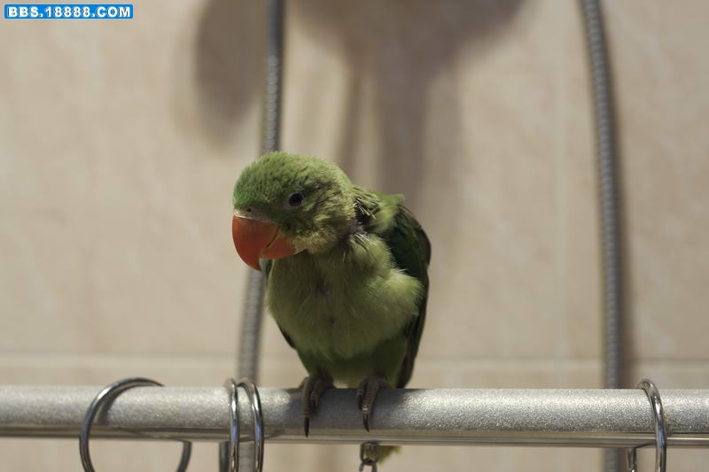 20100411_0473_调整大小.JPG