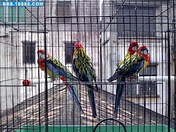 2010.4.28 (33).jpg