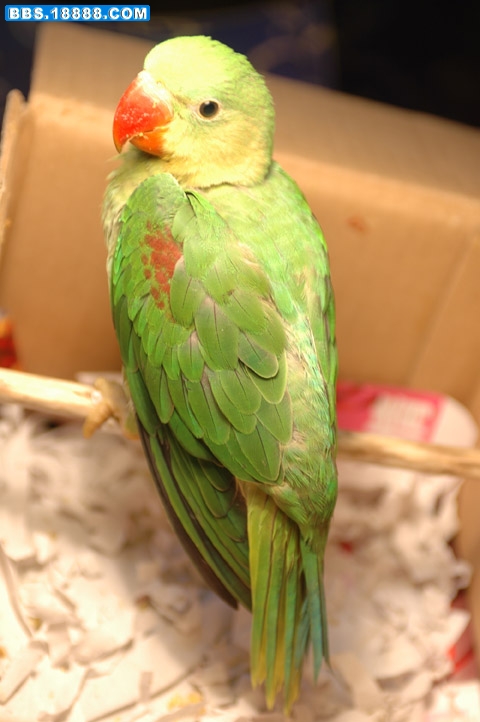 DSC_0334.jpg