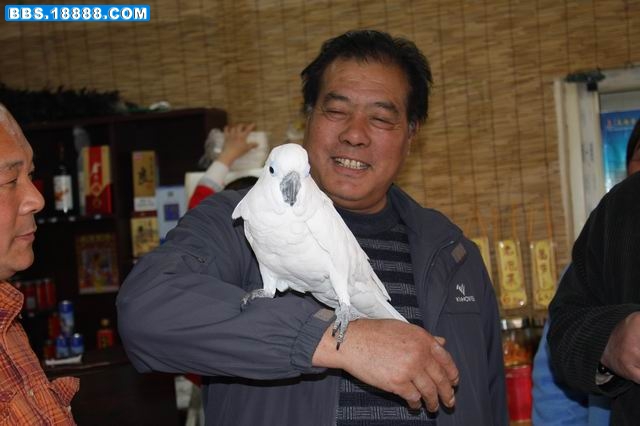 调整大小 照片 1062.jpg