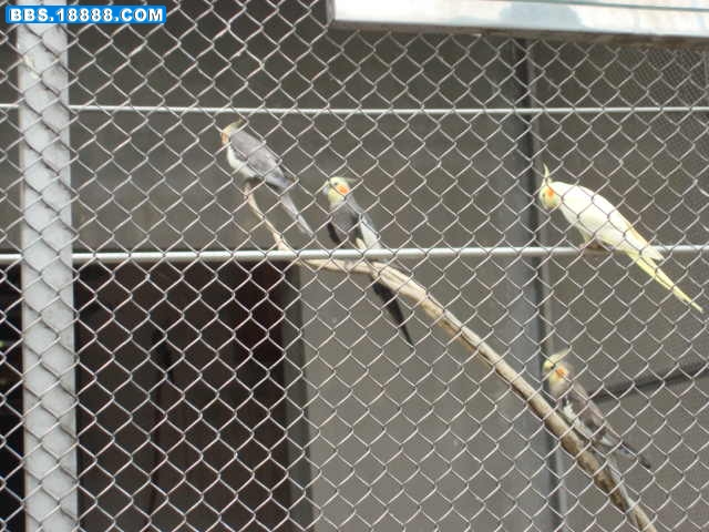 DSC01010.JPG