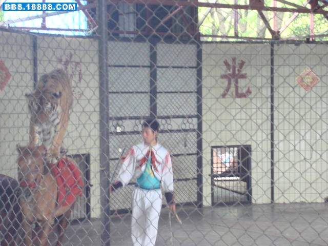 DSC01026.JPG