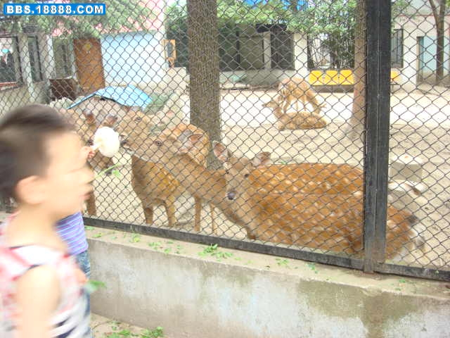 DSC01036.JPG