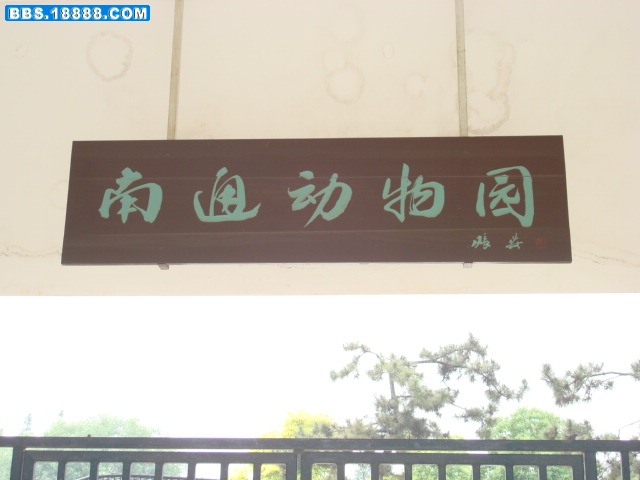 DSC01045.JPG