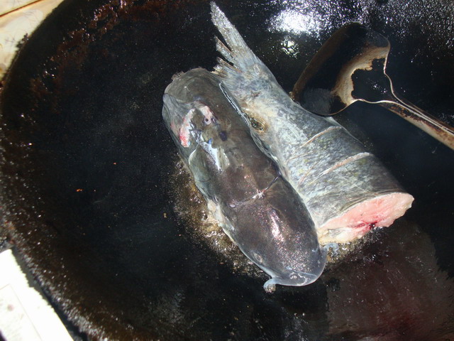 DSC02013.JPG