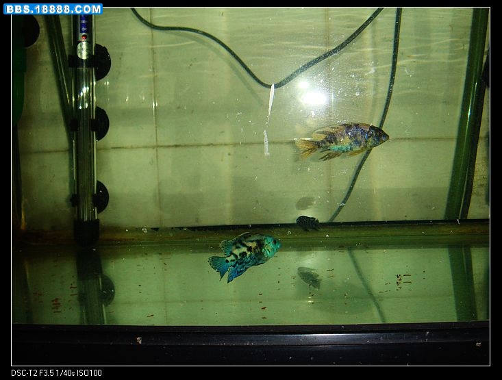 nEO_IMG_DSC00353.jpg
