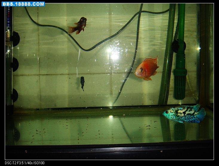 nEO_IMG_DSC00348.jpg