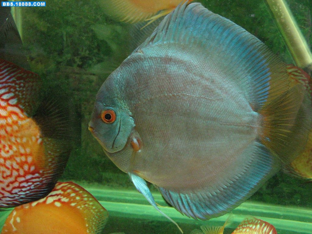 nEO_IMG_IMG_0647.jpg