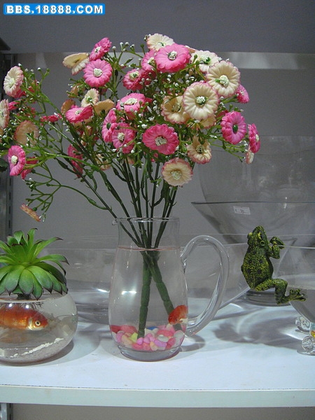 DSC00245.JPG