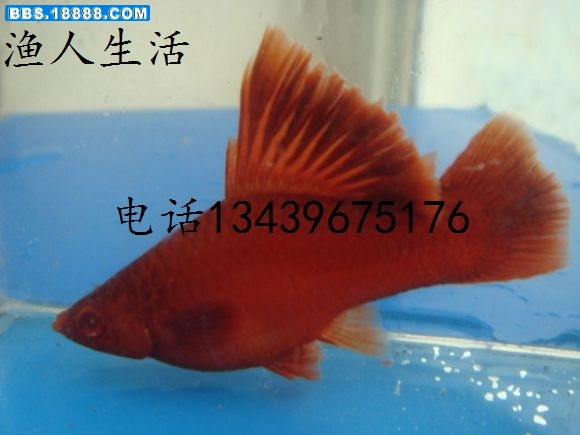 http_imgloadCA4A043P.jpg