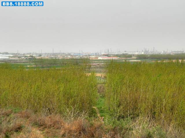 P4052421.JPG